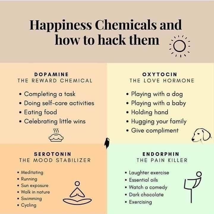 Ways we can create happiness in ourselves
