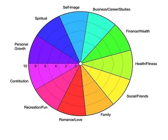 Life wheel